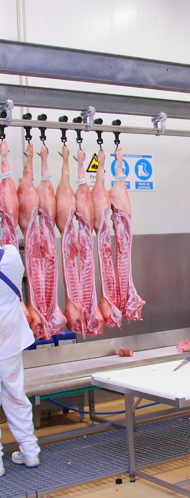 Abbatage et découpe