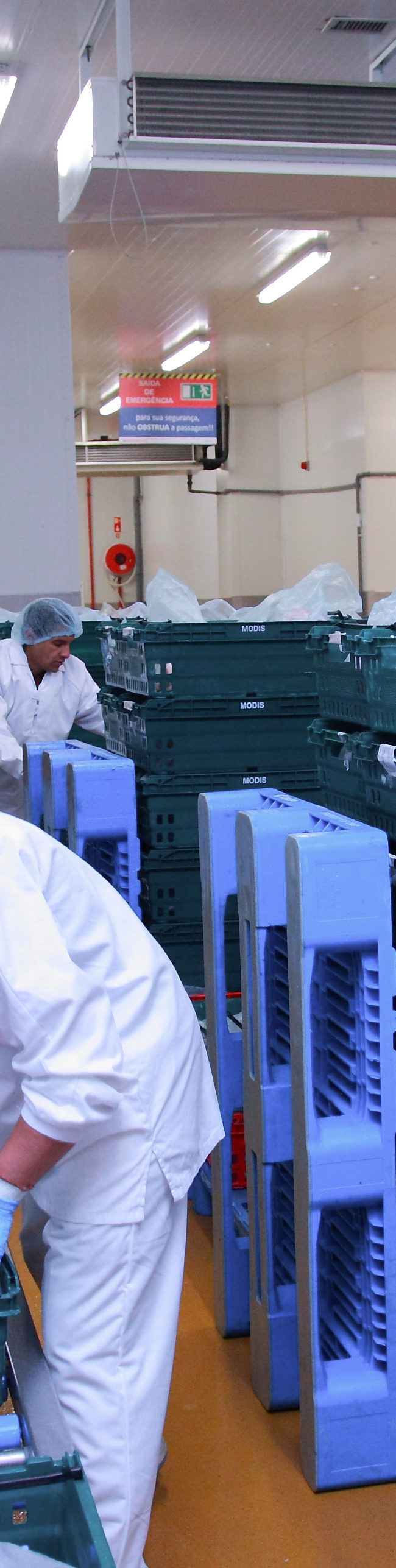 Conditionnement et Chargement