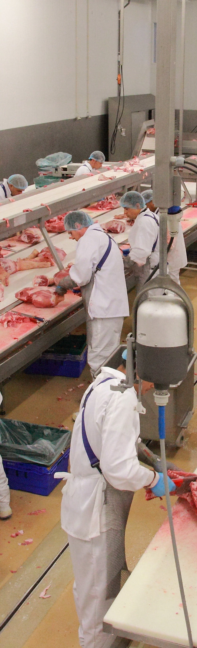 Ateliers de découpe et parrage