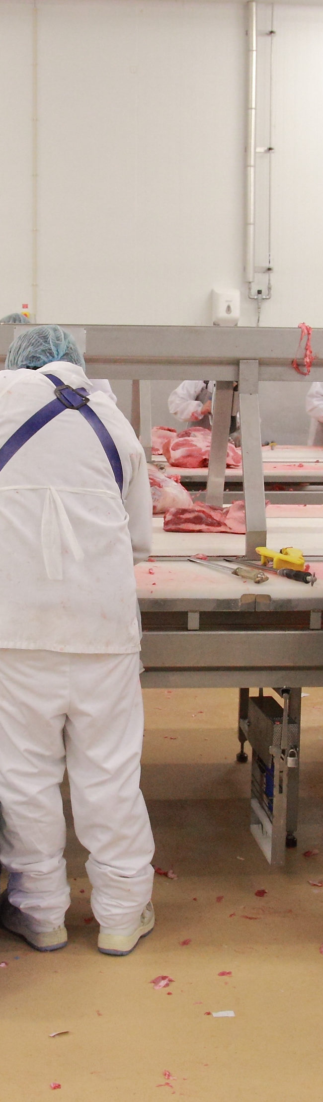 Désossage et Découpeurs de viande